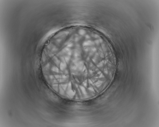 X0000110321359200906042035