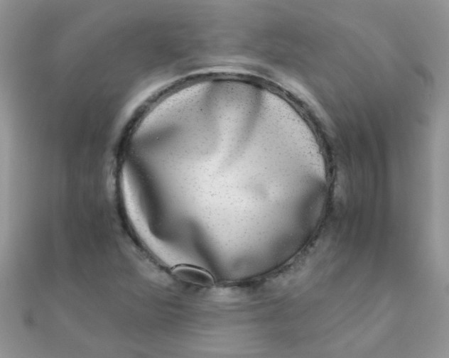 X0000110321360200906042035