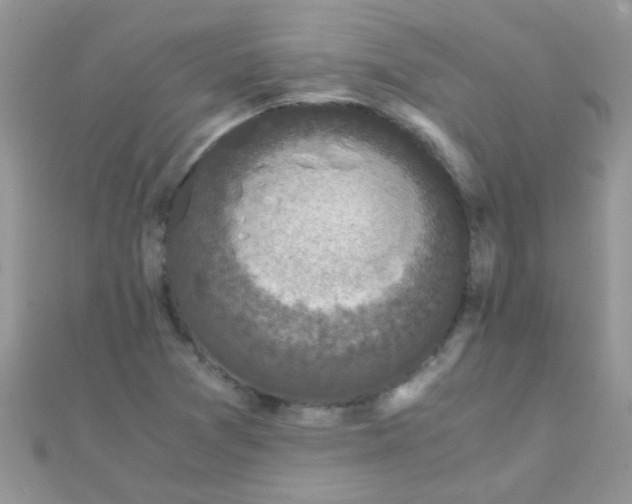 X0000110321361200906042035