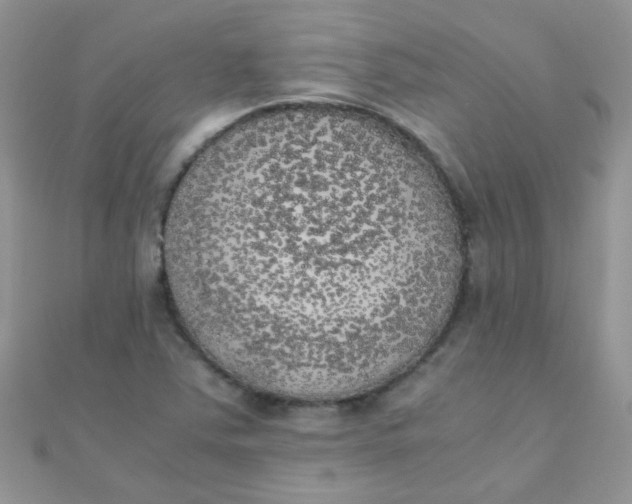 X0000110321363200906042035