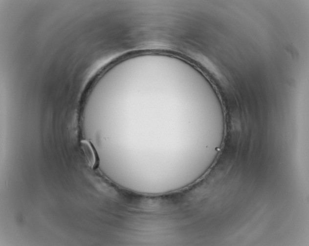 X0000110321364200906042035