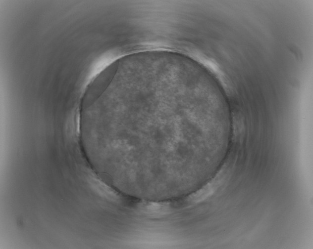 X0000110321365200906042035