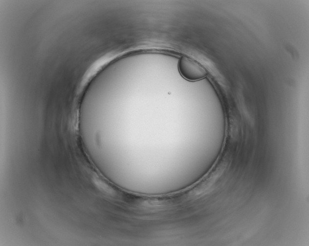 X0000110321366200906042035