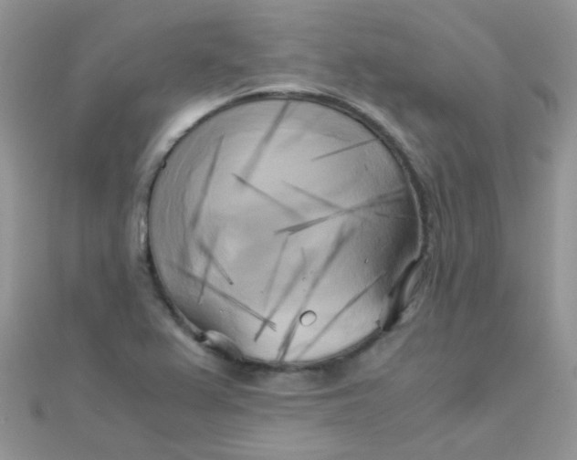 X0000110321367200906042035