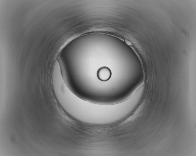 X0000110321369200906042035