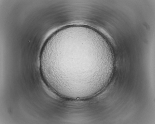 X0000110321372200906042035