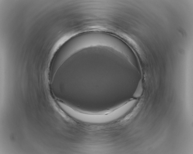 X0000110321373200906042035