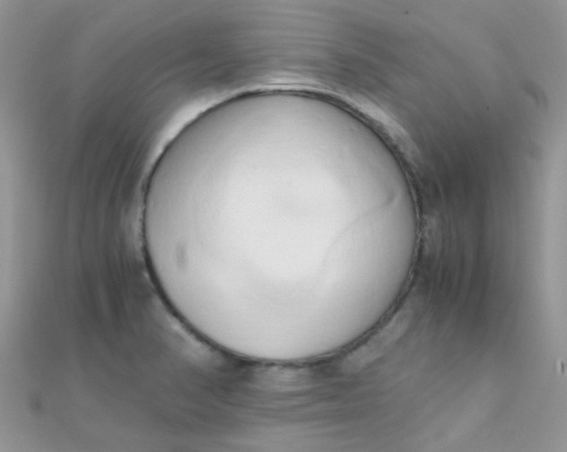 X0000110321374200906042035