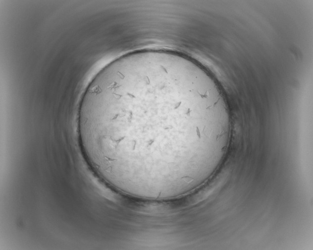 X0000110321375200906042035