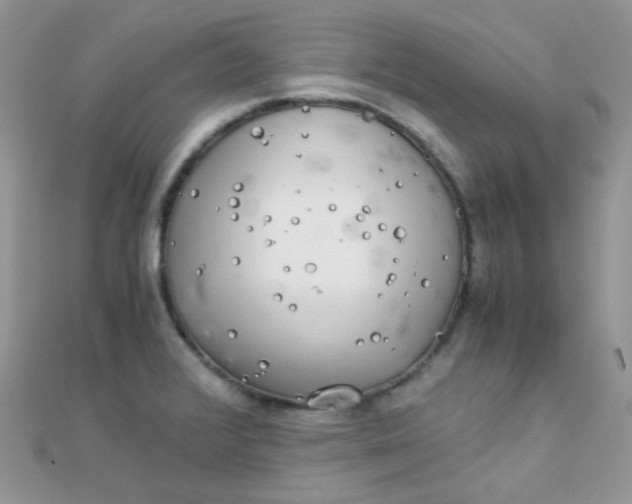 X0000110321376200906042035