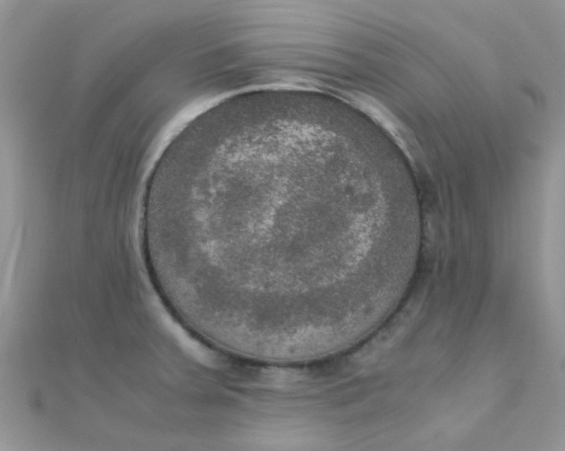 X0000110321379200906042035