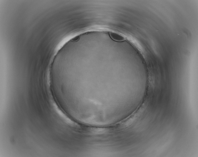 X0000110321382200906042035