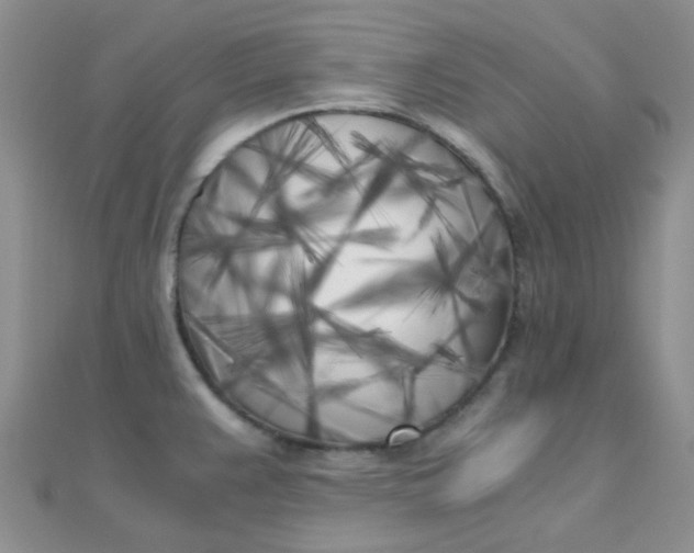 X0000110321383200906042035