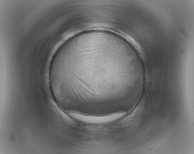 X0000110321384200906042035