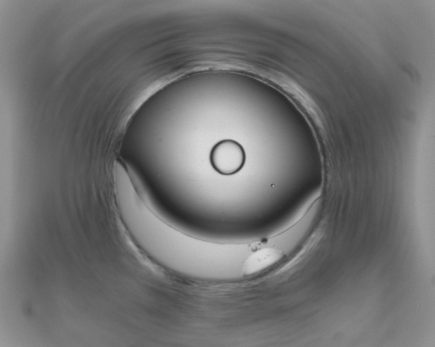 X0000110321385200906042035