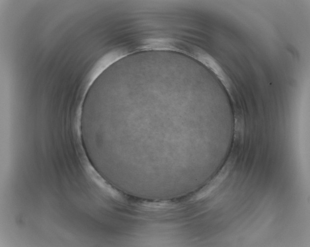 X0000110321386200906042035