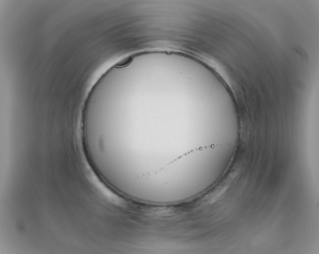 X0000110321387200906042035