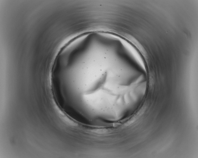 X0000110321388200906042035