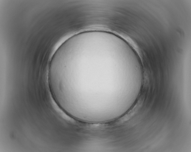 X0000110321390200906042034