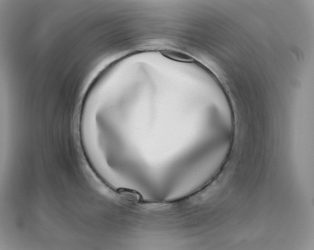 X0000110321392200906042034