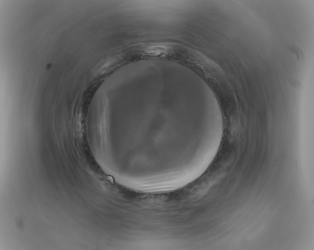 X0000110321394200906042034