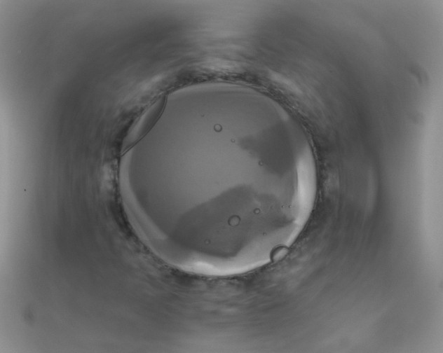 X0000110321397200906042034