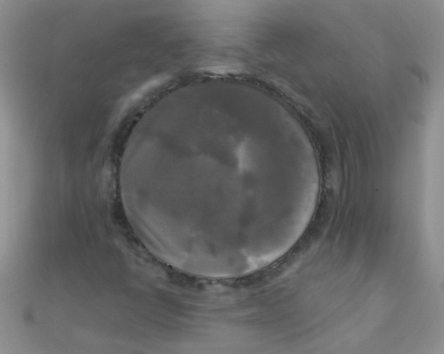 X0000110321398200906042034