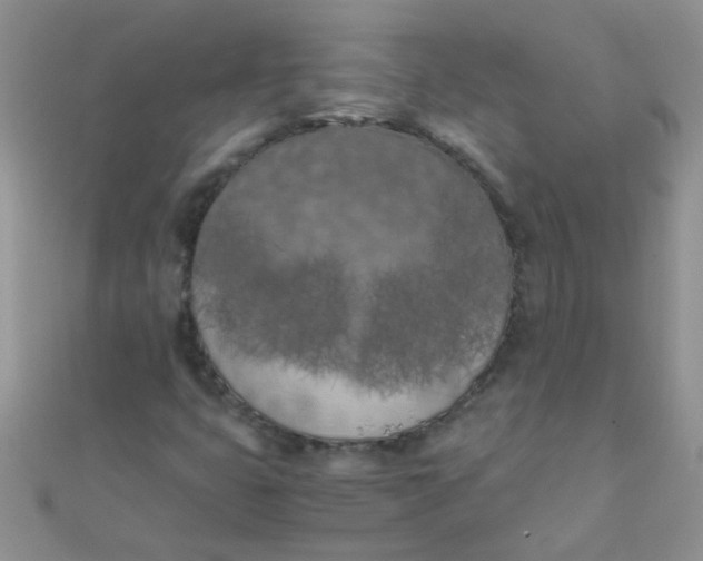 X0000110321399200906042034