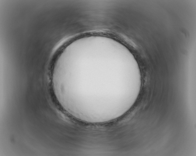 X0000110321400200906042034