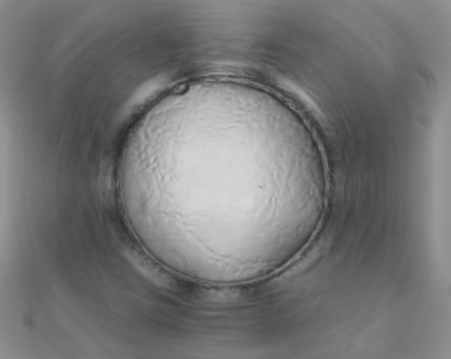 X0000110321403200906042034