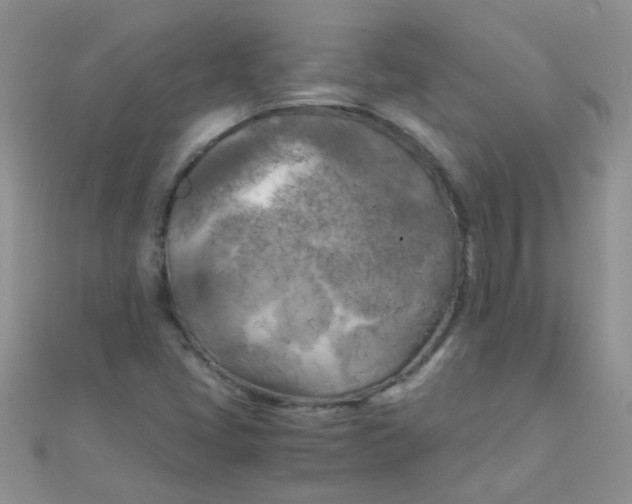 X0000110321405200906042034