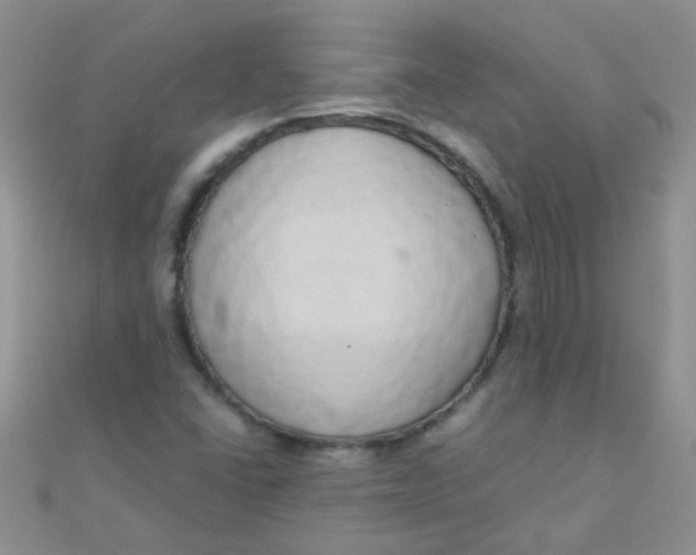 X0000110321406200906042034