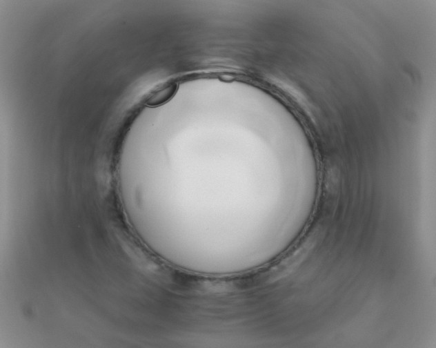 X0000110321407200906042034