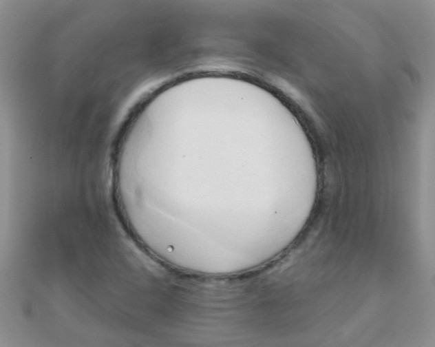 X0000110321408200906042034