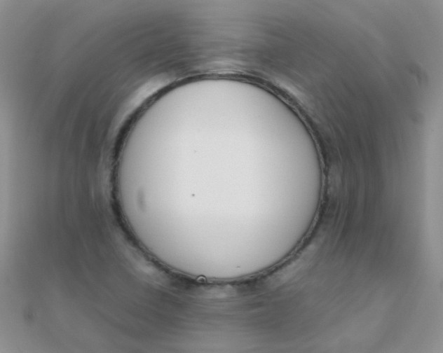 X0000110321410200906042034