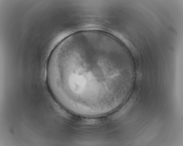 X0000110321413200906042034