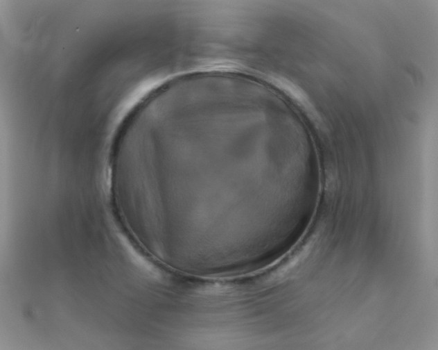 X0000110321414200906042034