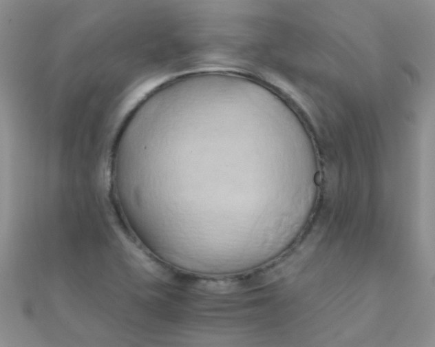 X0000110321415200906042034