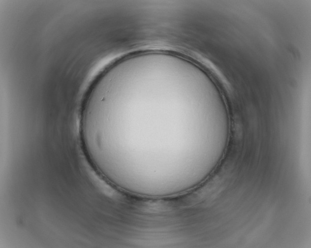 X0000110321416200906042034