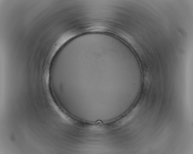 X0000110321418200906042034