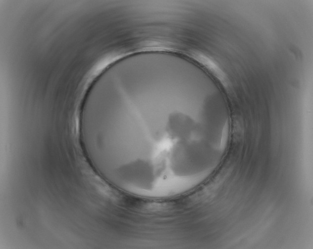 X0000110321419200906042034