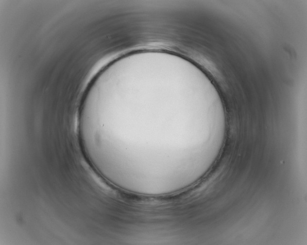 X0000110321420200906042034