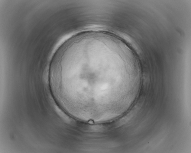 X0000110321421200906042034