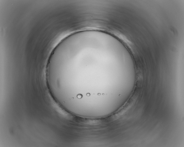 X0000110321423200906042034