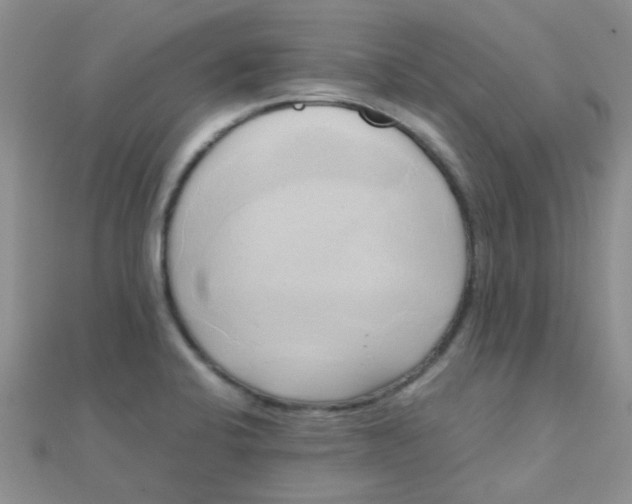 X0000110321424200906042034