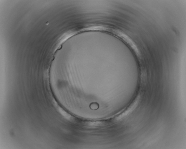 X0000110321425200906042034