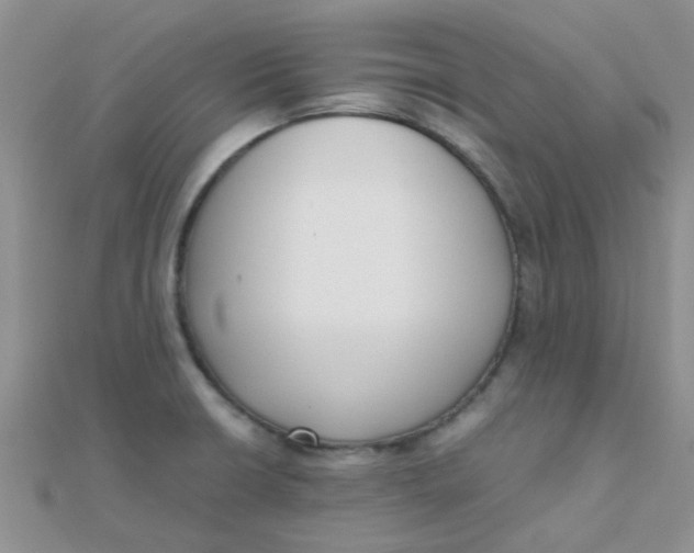 X0000110321426200906042034