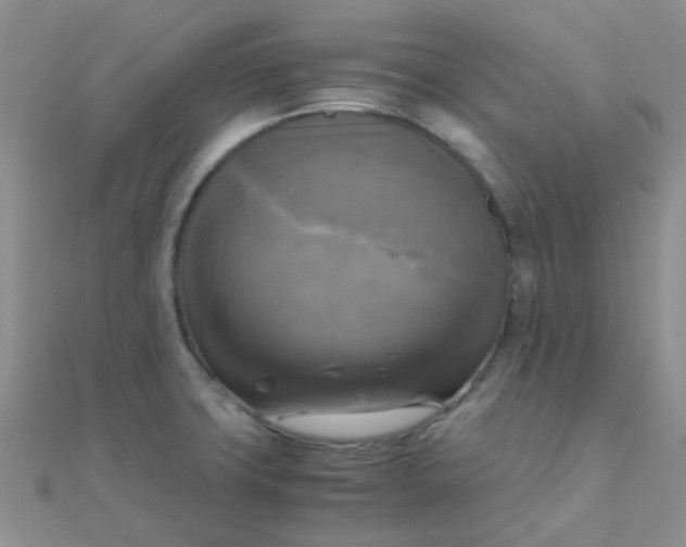 X0000110321427200906042034