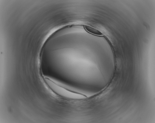 X0000110321428200906042034