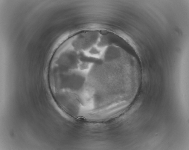 X0000110321429200906042034